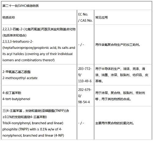 reach201��¡1æ��æ��